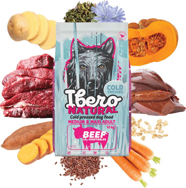 A 12 kg bag of Ibero Cold Pressed Adult Medium & Maxi beef, surrounded by its main ingredients